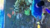 94D31F52-D2F0-462E-850F-DEC049AFE461.jpeg