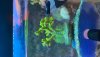 EAD4254E-23E6-464E-976F-AFED3EDA96CE.jpeg