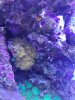 20200929_112926.jpg
