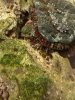 2694D717-1FEE-4F59-B607-7B5FA8FFD726.jpeg