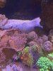 IMG_8662.jpg