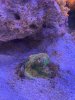 IMG_8665.jpg