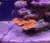 IMG_2519.jpeg