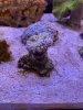 IMG_8688.jpg