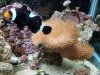 20201023_114524.jpg