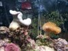 20201023_114526.jpg