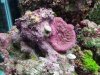 20201023_114529.jpg