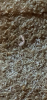 D0933E77-50FA-4E64-8A51-A70EFC15B0EC.png