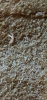 248F0FEF-E14F-4994-B37C-B7A6DB6EE93B.png