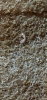 8AE4A560-1A6C-436F-A8E8-B6982C0C9503.png