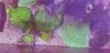 20201101_190846.jpg