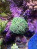IMG_3357.JPG