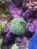 IMG_3358.JPG