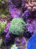 IMG_3359.JPG