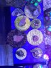 20201105_145411.jpg