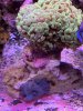 IMG_3366.JPG