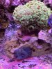 IMG_3367.JPG