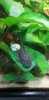 20201104_132946.jpg