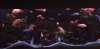 20201025_192842.jpg
