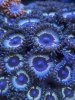 E53C1253-BC2D-4F2C-A177-EE15AC31E177.jpeg