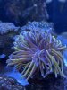 469BF605-BAD6-44BA-AA18-22FA603DF7CD.jpeg
