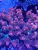 20201111_164853.jpg