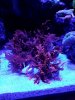 20201118_204404.jpg