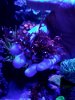 20201119_164355.jpg