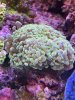 IMG_3469.JPG