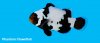 DB5A40A4-DA9D-44AA-AD31-04F968CC4E31.jpeg