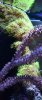 GSP_5884_sm.JPG