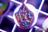 TCF-wysiwyg-corals-102-Web.jpg