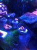 C9222AB7-0BED-4C8A-B0BB-863A3EC06428.jpeg
