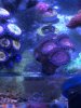 D3B21B6C-4163-44C2-AB7D-ECC3787E71DC.jpeg