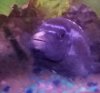 20201223_200941.jpg