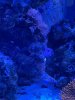 IMG_0284.jpeg