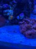 IMG_0285.jpeg