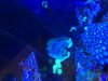 IMG_85051.jpg