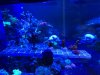 IMG_85061.jpg