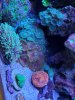 20210110_165142.jpg