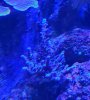 20210110_171440.jpg