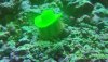 20210114_092703.jpg