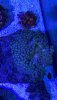 55CF09C7-C7D2-4590-8B0C-2CCE34B33C35.jpeg