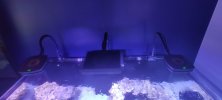 IMG_20210212_145832.jpg