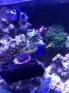 19E320C0-3858-4E32-BEC3-D511A17065BD.jpeg
