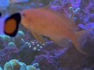 D259396E-29CC-4F58-B7B2-E1C99FD8DD47.jpeg