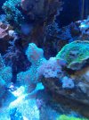 20210304_092734.jpg