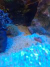 20210304_092813.jpg