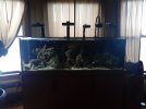 20210308_064813.jpg