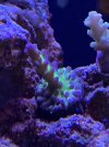 3FDABB94-E02C-4CFF-A862-459043637BE7.jpeg